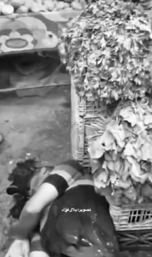 فيديو| يوم دامٍ يعيشه أهالي قطاع غزة مع استمرار القصف الإسرائيلي الذي استهدف عددًا من المناطق والتجمعات السكنية، مخلفًا عشرات الشهداء والجرحى. وتصاعدت...