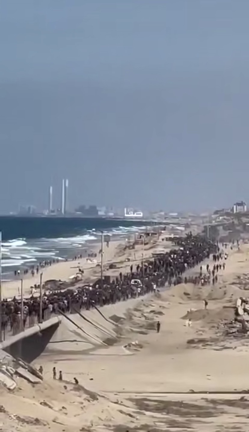 فيديو| بعد دخول وقف إطلاق النار حيز التنفيذ، يتجه حشود من الغزيين في شارع رشيد نحو الشمال....