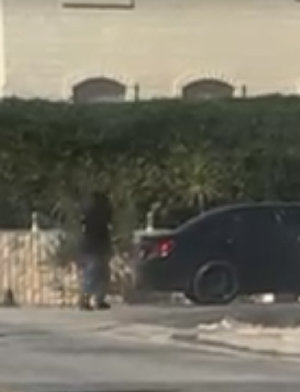 فيديو| مستوطنون يتجولون في وضح نهار يوم الجمعة وسط بلدة دير دبوان قضاء رام الله ويهاجمون ويحرقون ممتلكات المواطنين وكذلك مسجد المراح في البلدة....