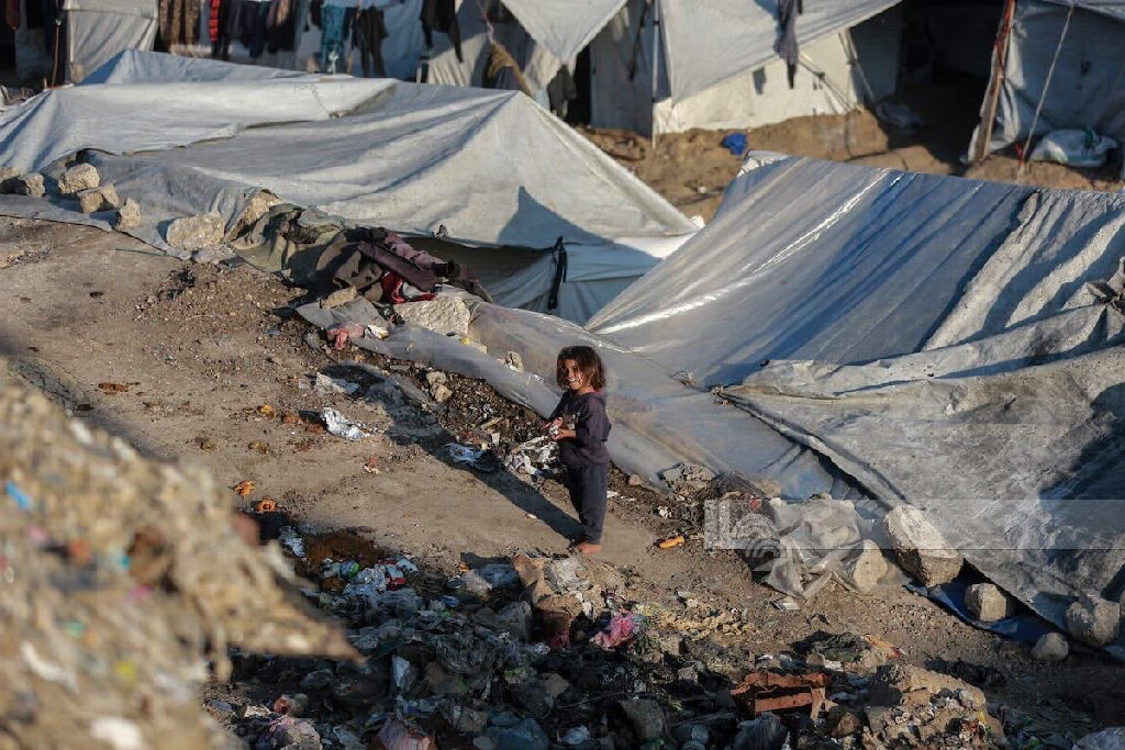 تكدس لخيام النازحين بالقرب من مكبٍّ للنفايات وسط مدينة غزة، في ظروف صحية خطيرة تهدد بتفشي الأوبئة والأمراض خصوصاً بين الأطفال....