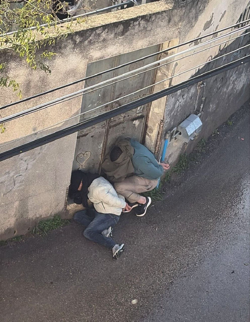 👁️ شاهد| قوات الاحتلال تواصل اعتقال الشبان والتنكيل بهم في بلدة قباطية، جنوب جنين....