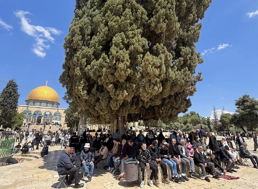 بعد انقطاع دام 40 يوماً، توافد المصلّون إلى المسجد الأقصى المبارك لأداء أول صلاة جمعة عقب إعادة فتحه من قبل قوات الاحتلال...