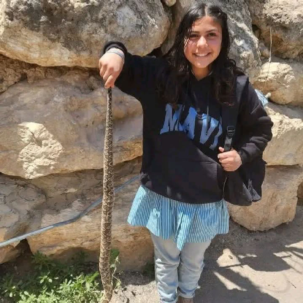 طالبة مدرسة في بلدة اذنا غرب مدينة الخليل تمسك بأفعى فلسطين "خطيرة جدا " اثناء عودتها من المدرسة ,  هذا الموقف يُظهر مدى خطورة التعامل مع الكائنات الب...