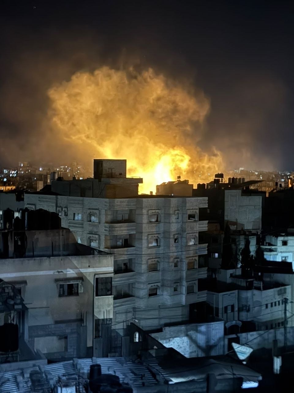 صورة الخبر