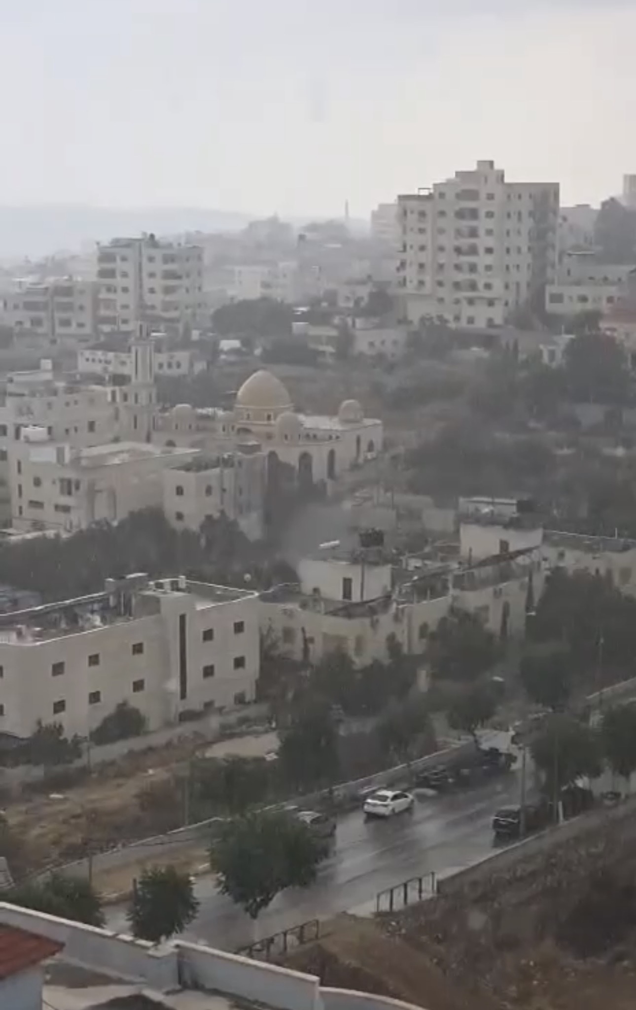 صورة الخبر