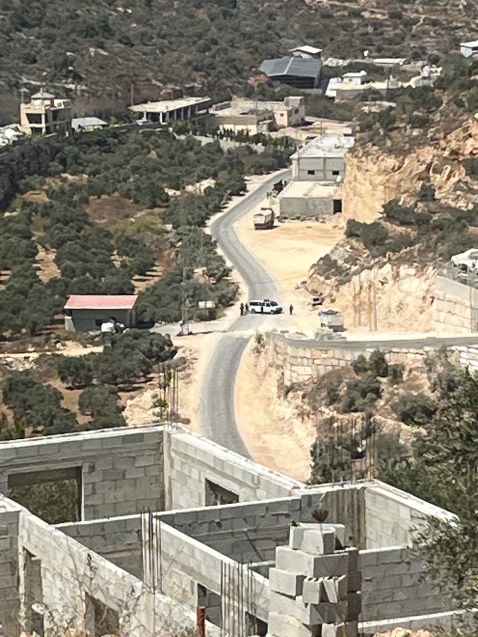 صورة الخبر