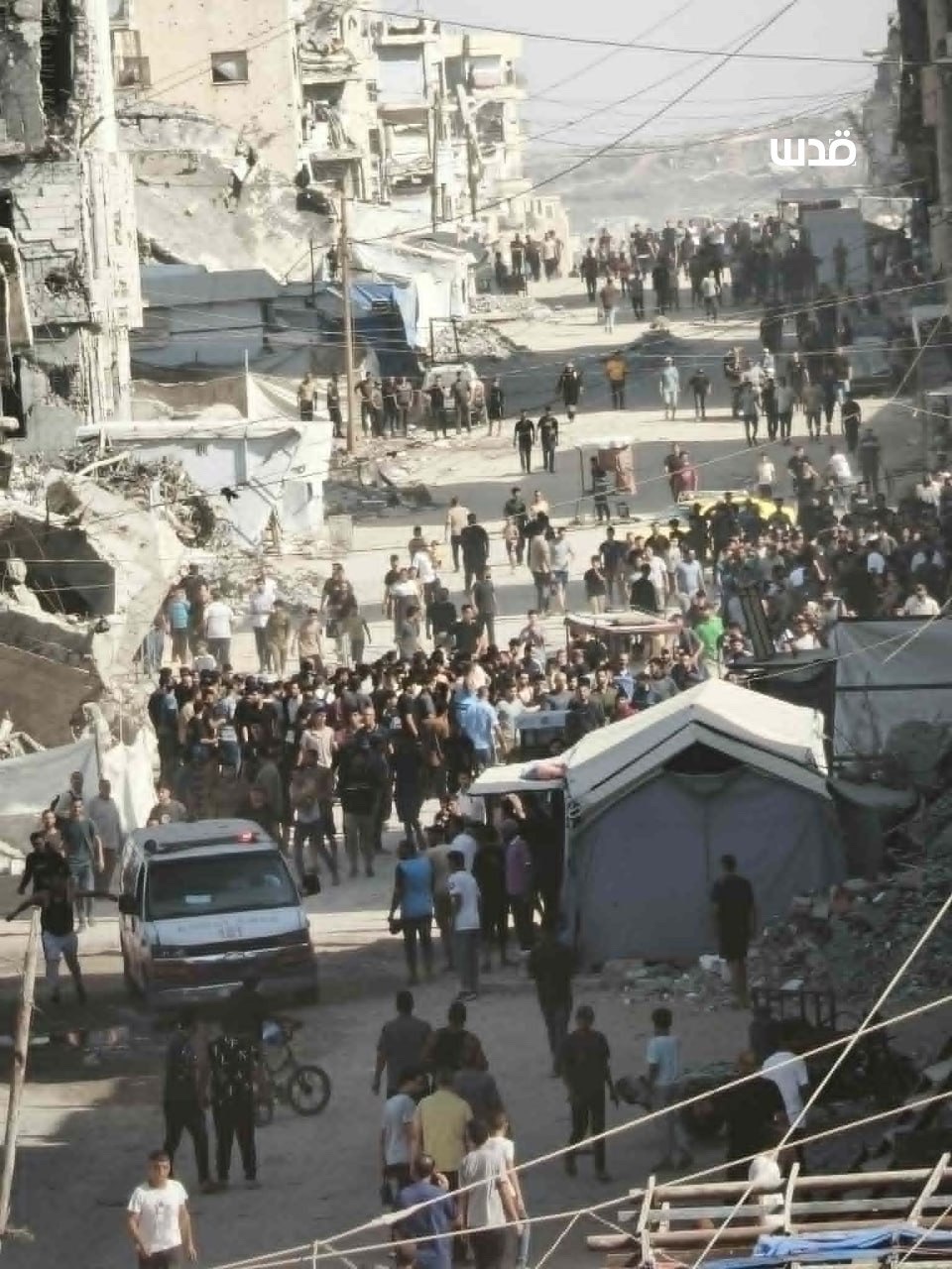 صورة الخبر
