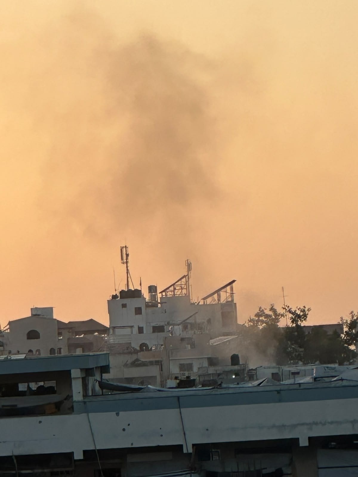 صورة الخبر