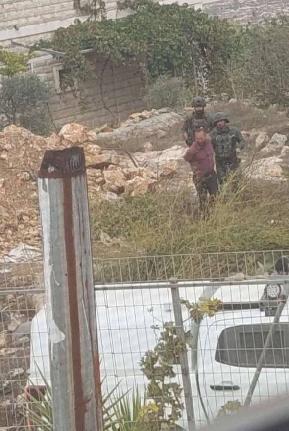 صورة الخبر